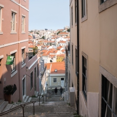 DSCF1091