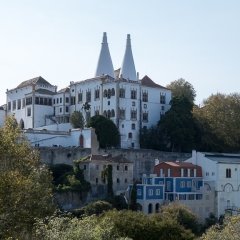 DSCF1137
