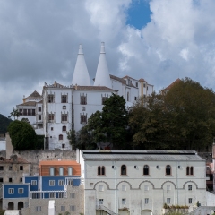 DSCF1150