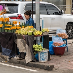 DSCF1528