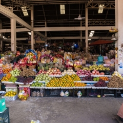 DSCF1537