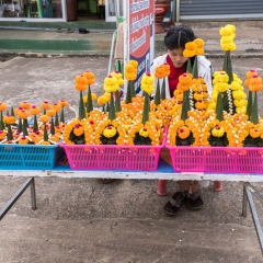 DSCF1691