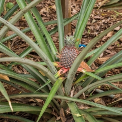 DSCF1583