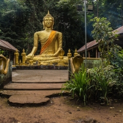 DSCF1588