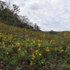 DSCF1627
