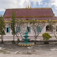DSCF1654