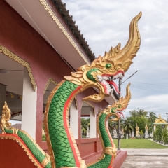 DSCF1655