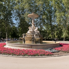 DSCF1223