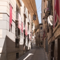 DSCF1243
