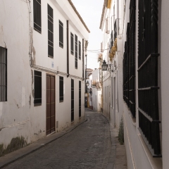 DSCF1291