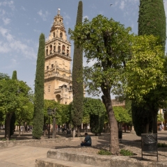 DSCF1296