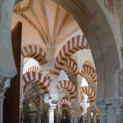 DSCF1310