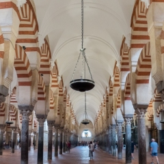 DSCF1312