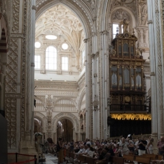 DSCF1314