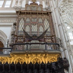 DSCF1318