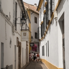 DSCF1322