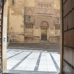 DSCF1323