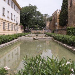 DSCF1331