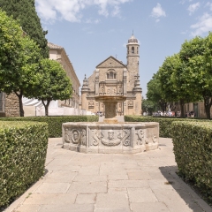 DSCF1336