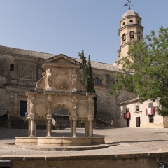 DSCF1344