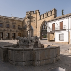DSCF1345