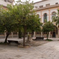 DSCF1352