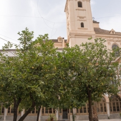 DSCF1353