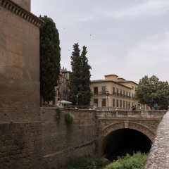 DSCF1392