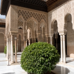 DSCF1454