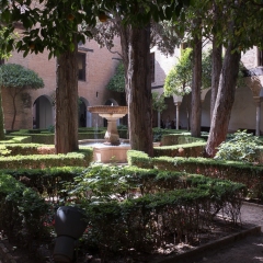 DSCF1464