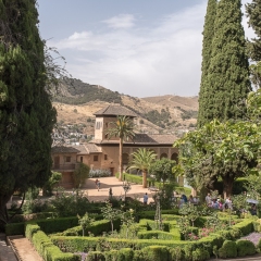 DSCF1466