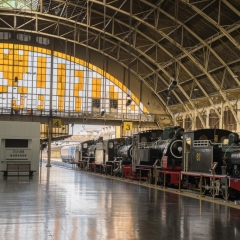 DSCF1865