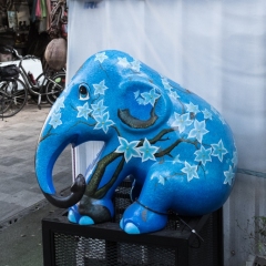 DSCF1893