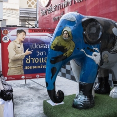DSCF1897